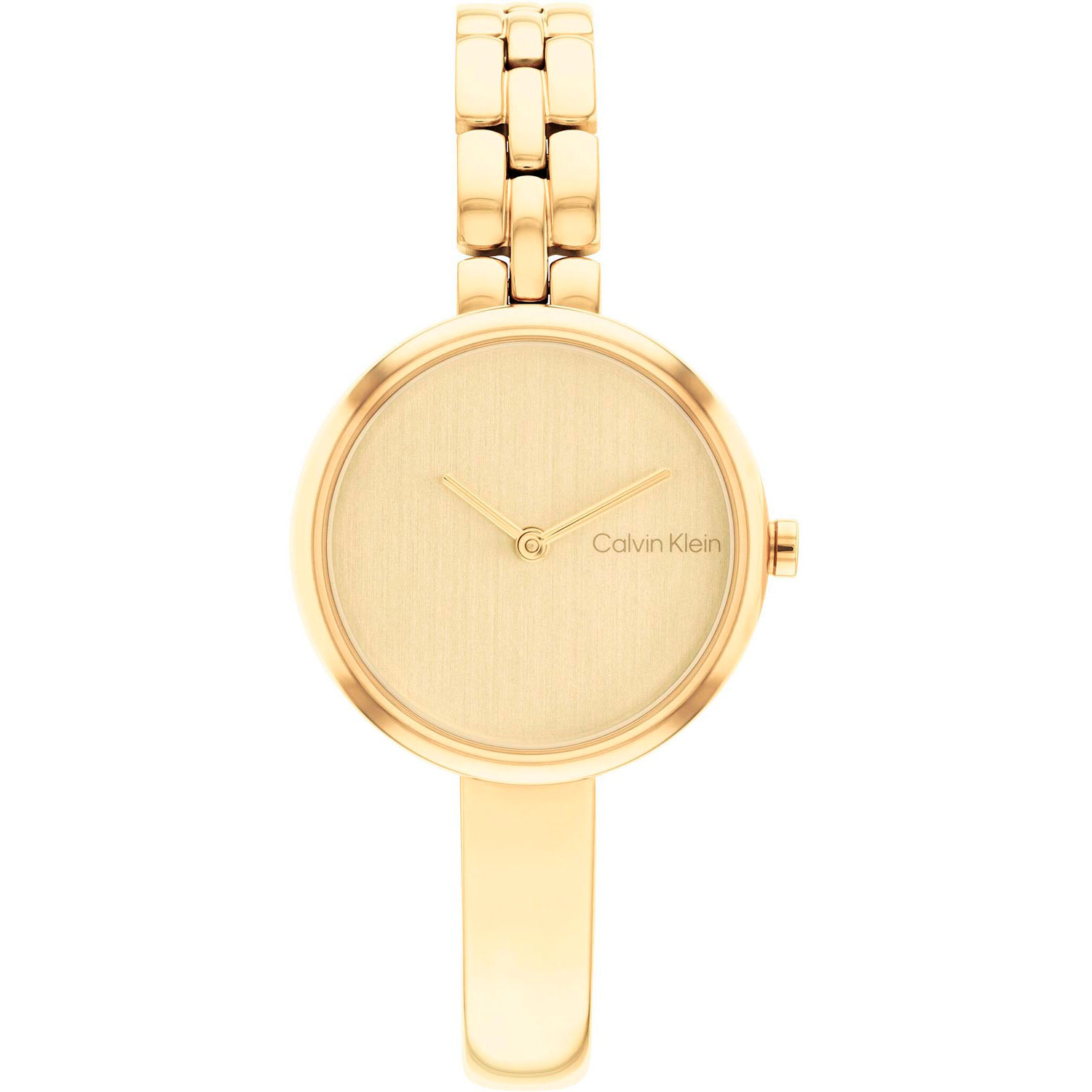 Часы Calvin Klein Bangled 25200279
